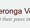 Yeronga Vet Surgery - Vets Newcastle