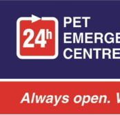 Animal Accident  Emergency - Vets Newcastle