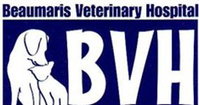 Book Beaumaris Accommodation Vacations Vets Newcastle Vets Newcastle