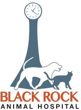 Black Rock Veterinary Clinic - Vets Newcastle 0