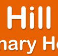 Box Hill Veterinary Hospital - Vets Newcastle