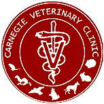 Book Carnegie Accommodation Vacations Vets Newcastle Vets Newcastle