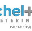 Cheltenham Veterinary Clinic - Vets Newcastle
