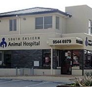 South Eastern Animal Hospital - Vets Newcastle