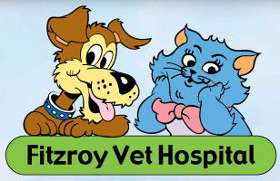  Vets Newcastle
