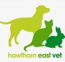 Hawthorn East Vet - Vets Newcastle