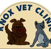 Knox Vet Clinic - Vets Newcastle