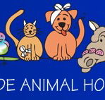 AdelaideVet - Goodwood Road - Vets Newcastle