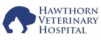 Springfield SA Vets Newcastle