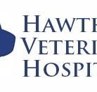 Hawthorn Veterinary Hospital - Vets Newcastle