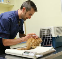 Seaford Vet Care - Vets Newcastle
