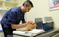 Book Moana Accommodation Vacations Vets Newcastle Vets Newcastle