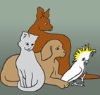 Southcoast Animal Hospital - Vets Newcastle