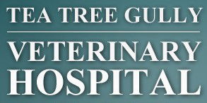 Tea Tree Gully Veterinary Hospital - Vets Newcastle 0