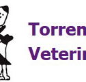 Torrens Road Veterinary Clinic - Vets Newcastle