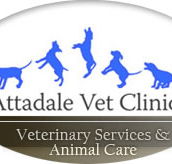 Attadale Vet - Vets Newcastle