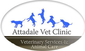 Attadale Vet - Vets Newcastle 0