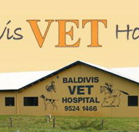 Baldivis Vet Hospital - Vets Newcastle