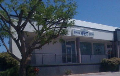 Belridge Veterinary Centre - Vets Newcastle 0