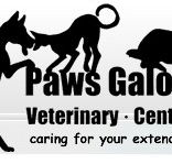 Paws Galore Veterinary Centre - Vets Newcastle