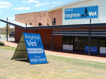  Vets Newcastle