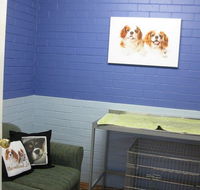 Cavalier Vet Practice - Vets Newcastle