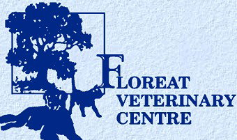 Floreat WA Vets Newcastle