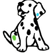 Four Paws Vet - Black Forest Vet Surgery - Vets Newcastle