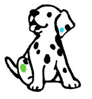 Four Paws Vet - Black Forest Vet Surgery - Vets Newcastle 0