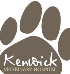 Kenwick Veterinary Hospital - Vets Newcastle 0