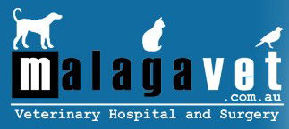 Malaga Veterinary Hospital - Vets Newcastle 0
