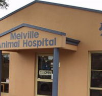 Melville Animal Hospital - Vets Newcastle