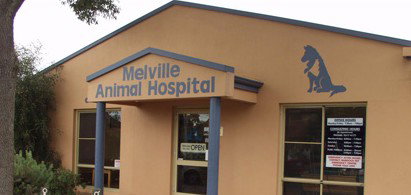 Melville Animal Hospital - Vets Newcastle 0