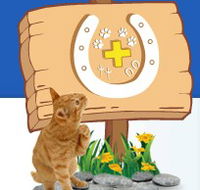 Midland Vet Hospital - Vets Newcastle