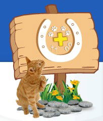 Midland Vet Hospital - Vets Newcastle 0