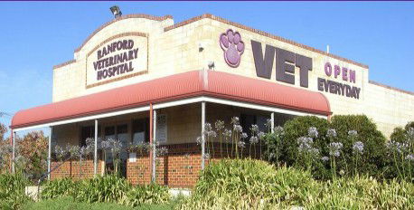 Ranford Veterinary Hospital - Vets Newcastle 0