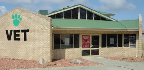 Spearwood Veterinary Hospital - Vets Newcastle 1