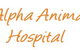 Alpha Animal Hospital - thumb 0