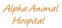 Book Coolangatta Accommodation Vacations Vets Newcastle Vets Newcastle