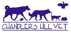 Chandlers Hill Vet - Vets Newcastle 0