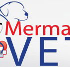 Mermaid Waters Veterinary Surgery - Vets Newcastle