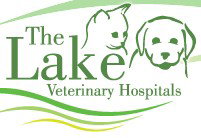 Swansea - Lake Veterinary Hospital - Vets Newcastle 0