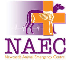 Newcastle Animal Emergency Centre - Vets Newcastle 0
