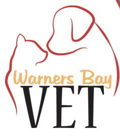 Warners Bay Vet Warners Bay