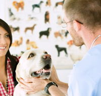 All Creatures Veterinary Centre - Vets Newcastle