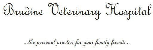 Latham ACT Vets Newcastle