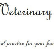 Brudine Veterinary Hospital - Vets Newcastle