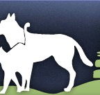 Gungahlin Veterinary Hospital - Vets Newcastle