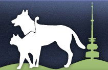 Gungahlin Veterinary Hospital - Vets Newcastle 0