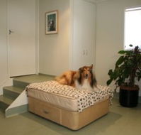 Holistic Paws - Vets Newcastle